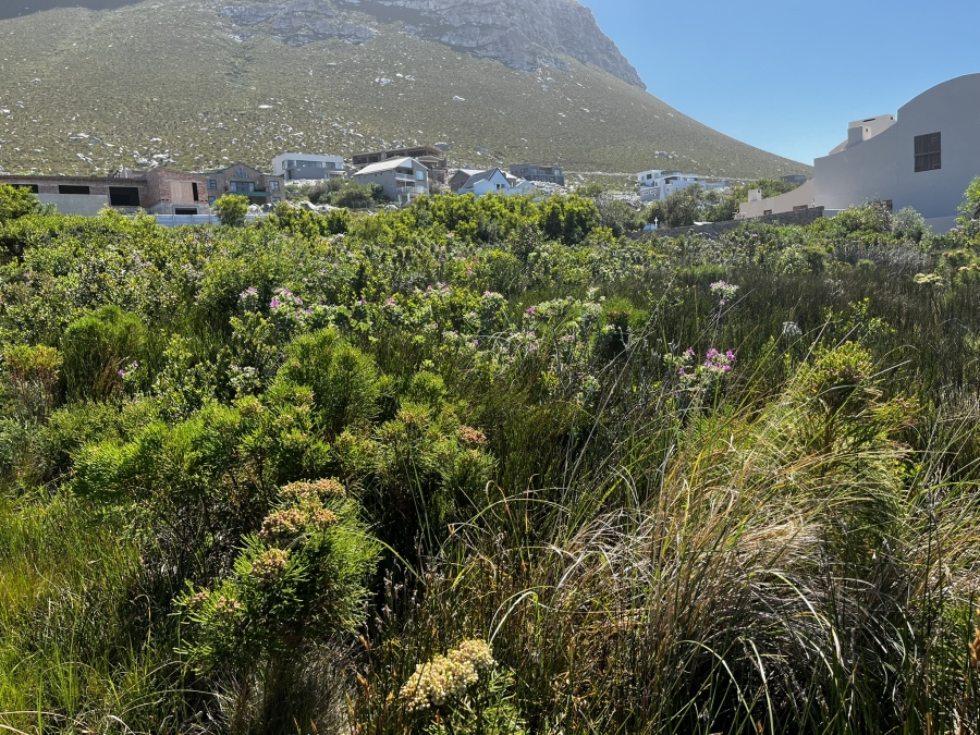 0 Bedroom Property for Sale in Bettys Bay Western Cape